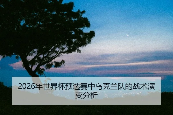 nian-shi-jie-bei-yu-xuan-sai-zhong-wu-ke-lan-dui-de-zhan-shu-yan-bian-fen-xi-2-823.jpg