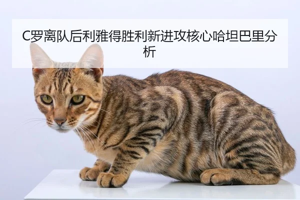 luo-li-dui-hou-li-ya-de-sheng-li-xin-jin-gong-he-xin-ha-tan-ba-li-fen-xi-3-799.jpg