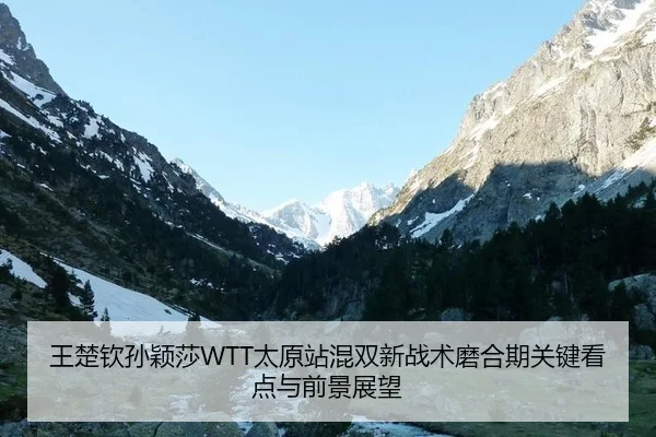 wang-chu-qin-sun-ying-sha-tai-yuan-zhan-hun-shuang-xin-zhan-shu-mo-he-qi-guan-jian-kan-dian-yu-qian-jing-zhan-wang-2-315.jpg
