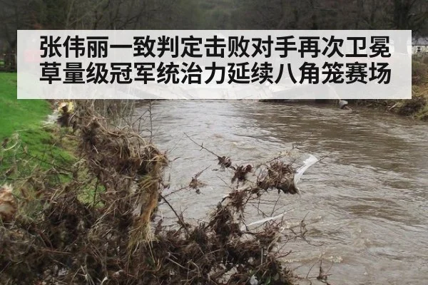 张伟丽一致判定击败对手再次卫冕草量级冠军统治力延续八角笼赛场